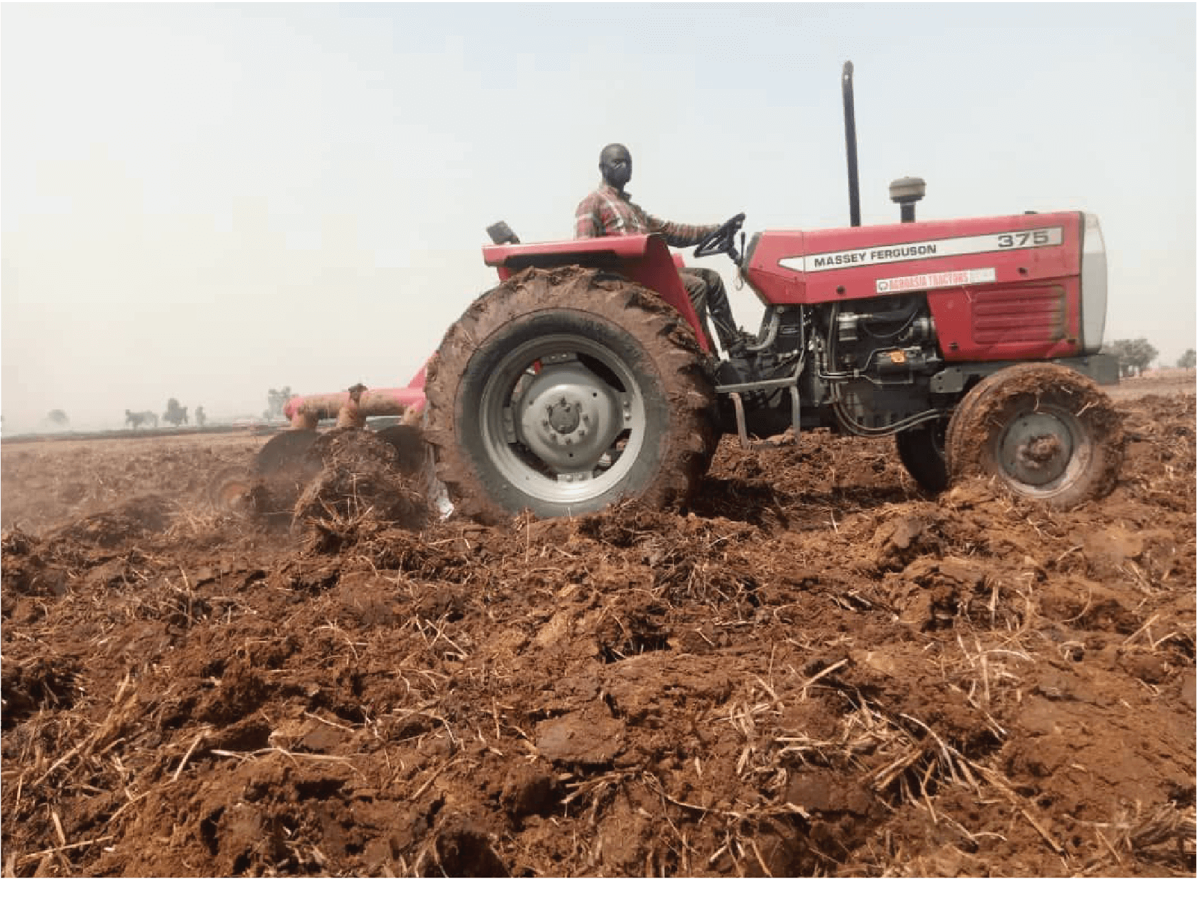 Land Preparation for the 3000 hectares dry season rice production 