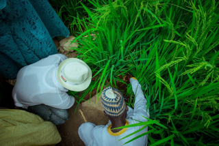 EHB_8532