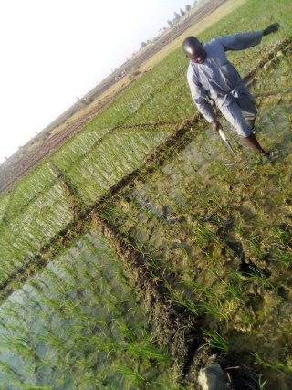 IMG-20210412-WA0028